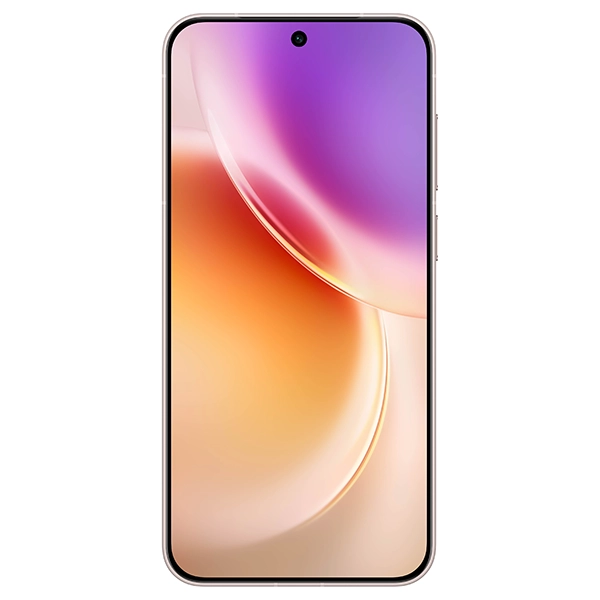 vivo X300